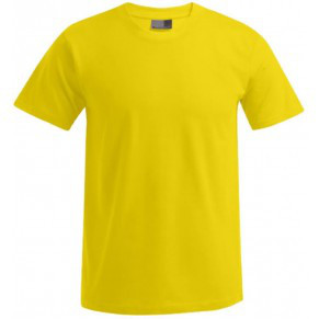 3099 Herren Premium T-Shirt / T-Shirt